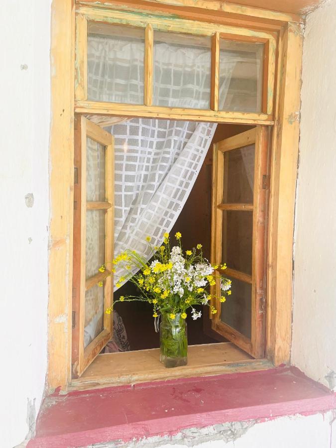 Tamazi Guest House Адиши Экстерьер фото