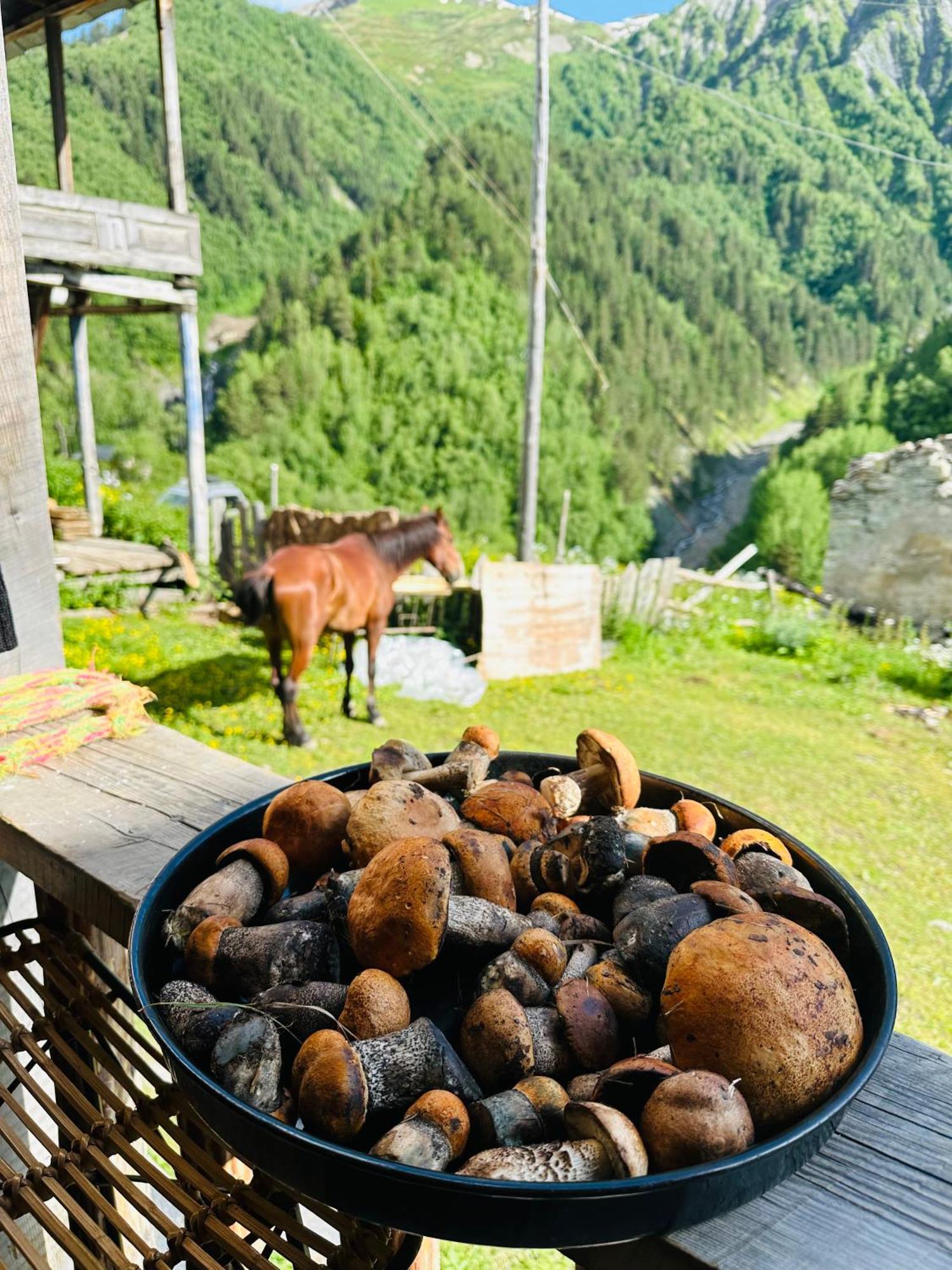 Tamazi Guest House Адиши Экстерьер фото
