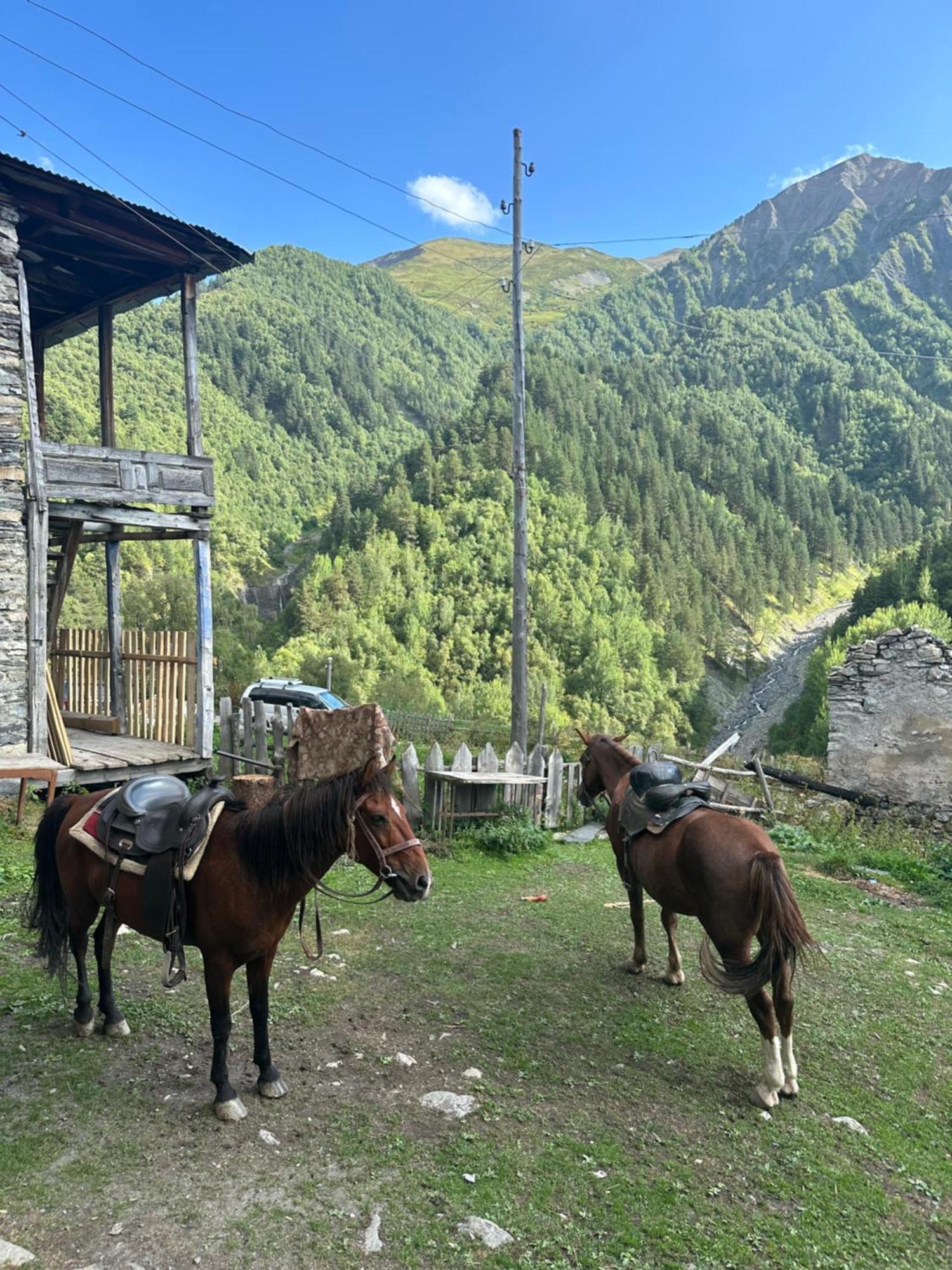 Tamazi Guest House Адиши Экстерьер фото